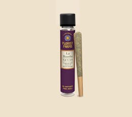 Florist Farms | Live Resin Infused | La Bomba | 1g