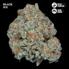 Royal Genetics | Black Ice | Flower 3.5g