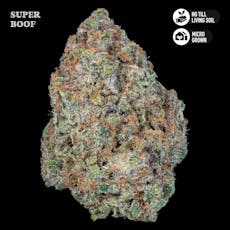 Royal Genetics | Super Boof | Flower 3.5g