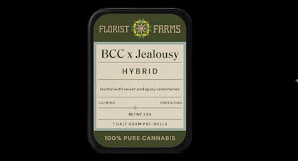 Florist Farms | Banana Cream Cake x Jealousy | 0.5g x 7pk