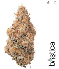 Purple Starfruit - 3.5g | Indica