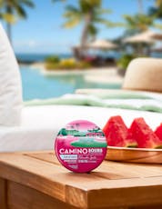 Camino | Uplifting Watermelon Spritz Sour Gummies | 10pck | 100mg