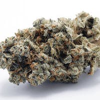 Cookie Dawg
