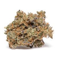 Sour Best Tangie by Perch Harvests