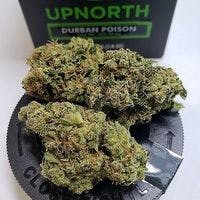 Durban Poison by Up North