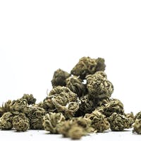 Hawaiian Haze