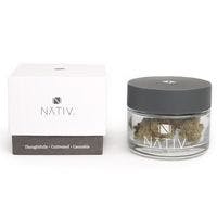 Blue Dream | Nativ