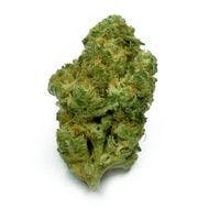 Tangerine Cookies