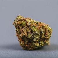 (AERIZ) Tropicana Cookies - Top Tier