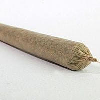 Cascade Chronic