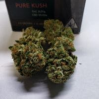 Pure Kush by HPRC Cultivation
