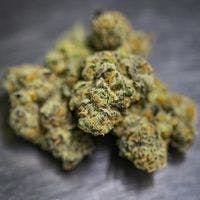 GSC by HPRC Cultivation