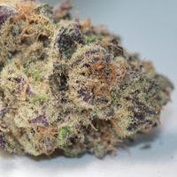 REC 21+ Original Glue (f.k.a. GG #4)