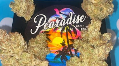 Pearadise 1g - Gram