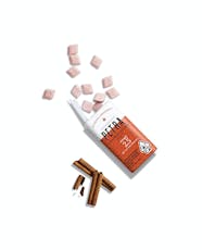Petra Saigon Cinnamon Mint 100MG