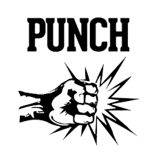 Punch Extracts 1g BHO Shatter - Jungle Runtz