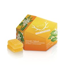 Sour Tangerine - 100Mg - 10 Pk