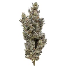 Holy Moly! Indoor (3.5g)