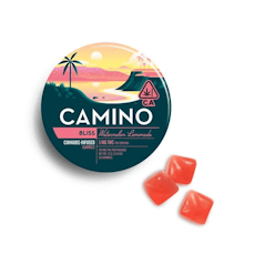 Watermelon Lemonade Gummies - Camino - Watermelon Lemonade (H)