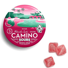 Watermelon Spritz - Camino Sours - Watermelon Spritz (S)