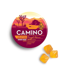Pineapple Habanero Gummies - Camino - Pineapple Habanero (H)