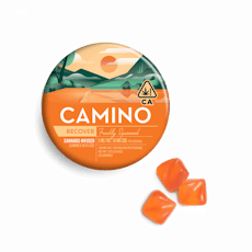 Camino 1:2 CBG Freshly Squeezed "Recover" Gummies - 20 Gummies