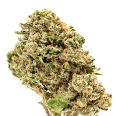 Animal Face Sherbet, SG (1/2oz.) - Half