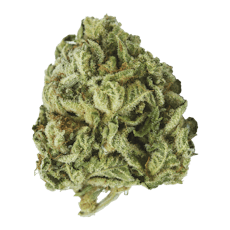 Skywalker OG - 40's Infused Flower