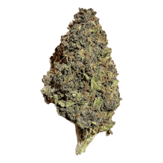 Hindu Kush - Jar - Indoor Flower