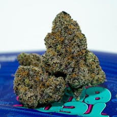King Neptune 25% - 3.5G - King Neptune (H)