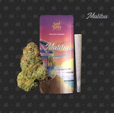 MALIBU 1g Pre-Roll