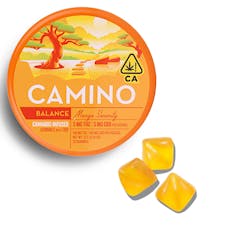 Mango Serenity 1:1 Camino Gummies - Mango Serenity 1:1