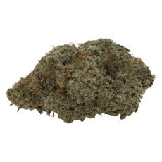 NF1 - Jar - Indoor Flower