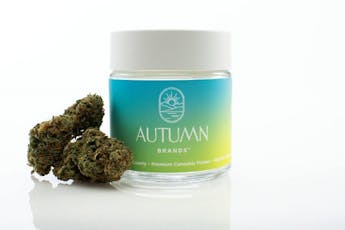 Blue Dream | 3.5g - SR - 181