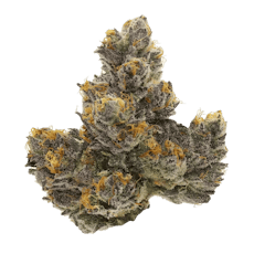 Couch Rider - Jar - Indoor Flower