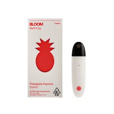 Classic Surf | Pineapple Express (S) All-in-One - .5g