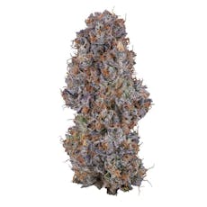 Blue Face Rainbow Belts Indoor (3.5g)