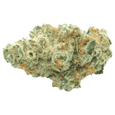 G13 - Jar - Indoor Flower