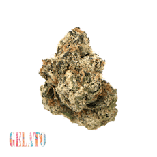 Gelato 3.5g