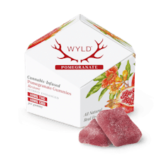 Pomegranate 1:1 CBD + Hybrid Enhanced Gummies
