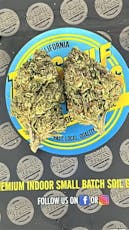 ^TSE Gassy Runt Greenhouse Half OZ (14g) - 14g