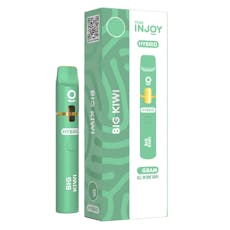 Big Kiwi (H) AIO Regular 1g - Big Kiwi (H)