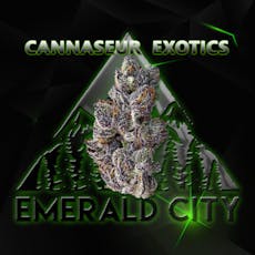 Emerald Elite - 1/8oz - Red Churros - (Cannasieur Exotics)