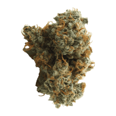 LA Confidential - Jar - Indoor Flower