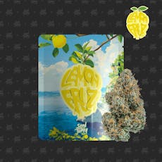 LEMON FRUZ - 3.5G
