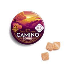 Camino Sours 10:10 CBD Orchard Peach "Balance" Gummies - 10 Gummies