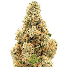 XJ-13