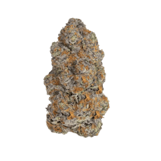Biscotti - 40's Infused Flower