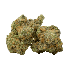Pink Acai - 40's Infused Flower