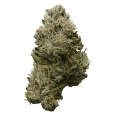Grape Gasby - Premium Flower